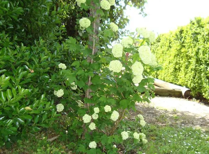 Le Fief De La Ribeyre Bed & Breakfast 4*